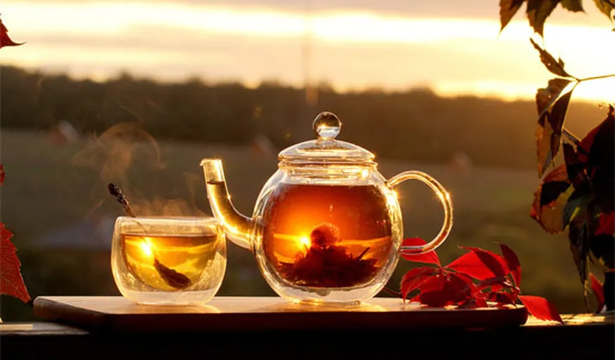Cele mai sănătoase ceaiuri pentru fiecare moment al zilei