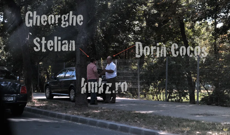Dosarul Alinei Bica: Stelian Gheorghe contestă sechestrul pus de DNA pe terenurile sale