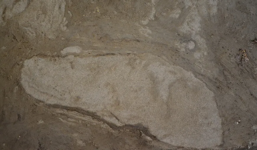 Urme de PAŞI UMANI din Epoca de Piatră, descoperite în Danemarca FOTO