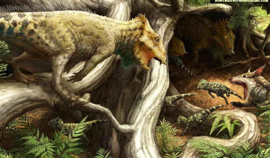 Cel mai vechi dinozaur cu coarne din America de Nord era de mărimea unui corb