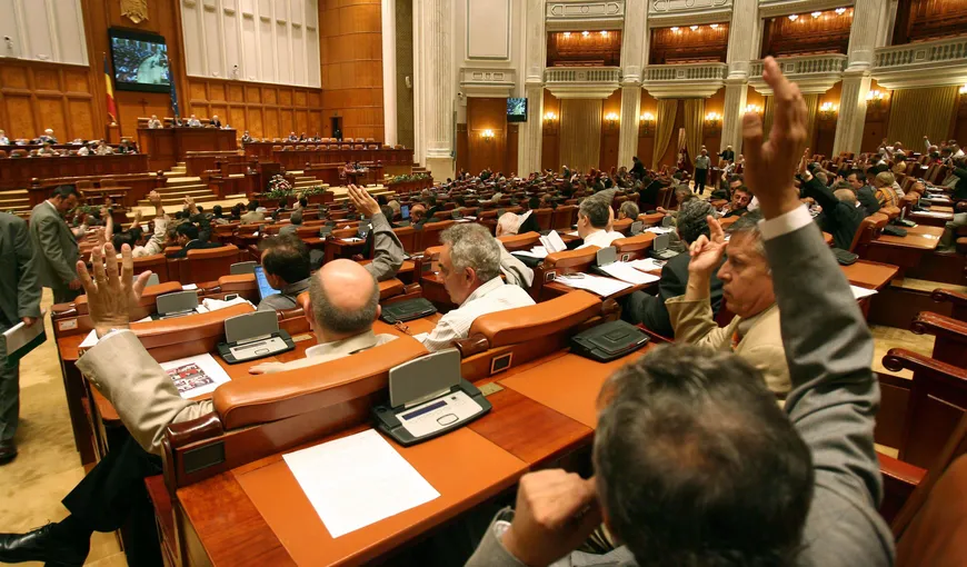PNL contestă la CCR ce votează în Parlament