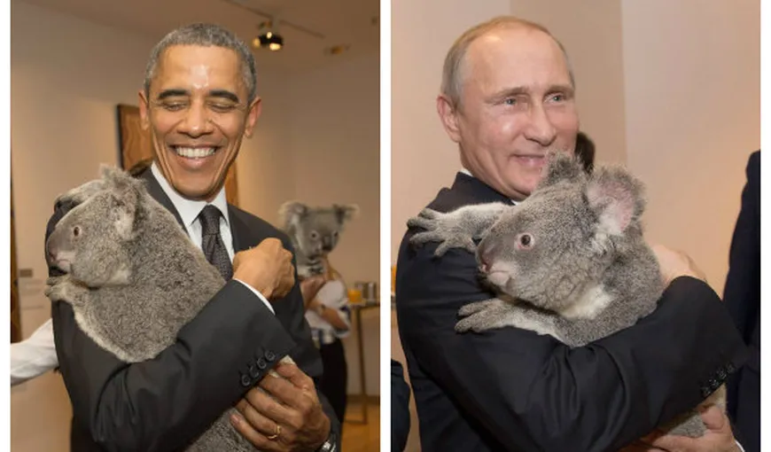 G20: Fotografiile în care Obama şi Putin ţin în braţe un urs KOALA au costat 16.000 de euro
