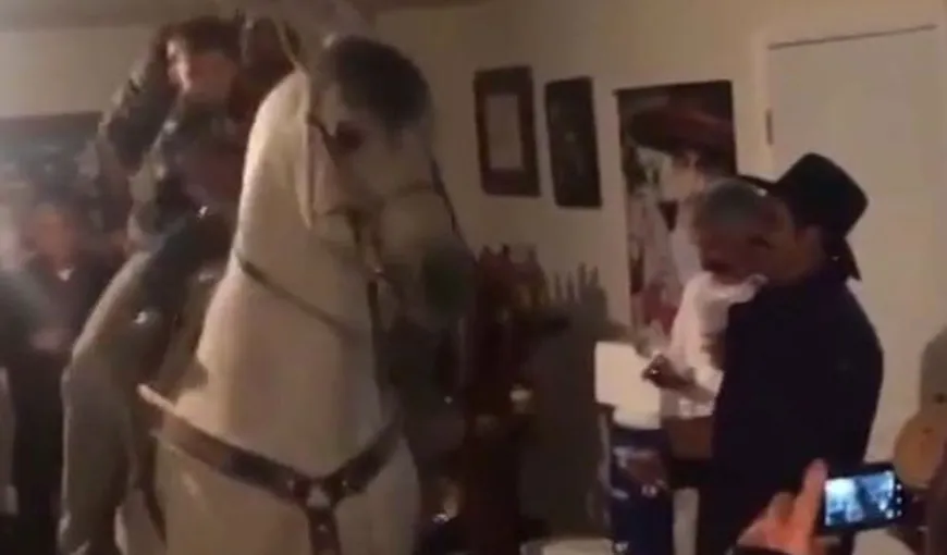 Un cal a fost invitat la o PETRECERE şi nu a dezamăgit. Ce a urmat este uimitor VIDEO