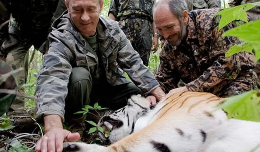 Tigrul lui Vladimir Putin a mâncat un câine VIDEO