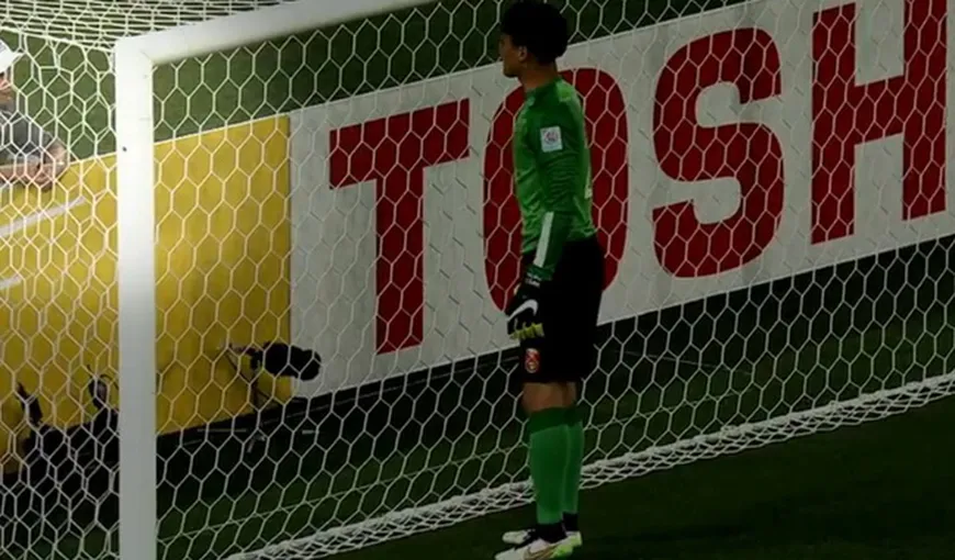 Cosmin Olăroiu, învins de un copil de mingi la Cupa Asiei. Faza care a îngropat Arabia Saudită VIDEO