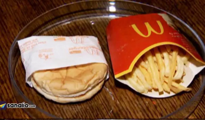 Cum arată un cheeseburger şi o porţie de cartofi după ce au fost păstrate 6 ani într-o pungă VIDEO