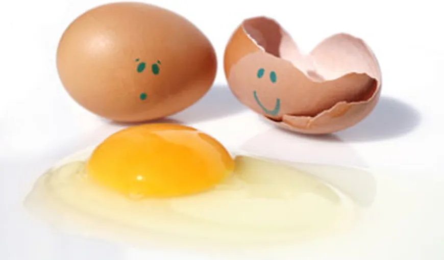 CONTROVERSĂ: Cum e mai bine să mănânci oul, doar albusul sau şi gălbenuşul?