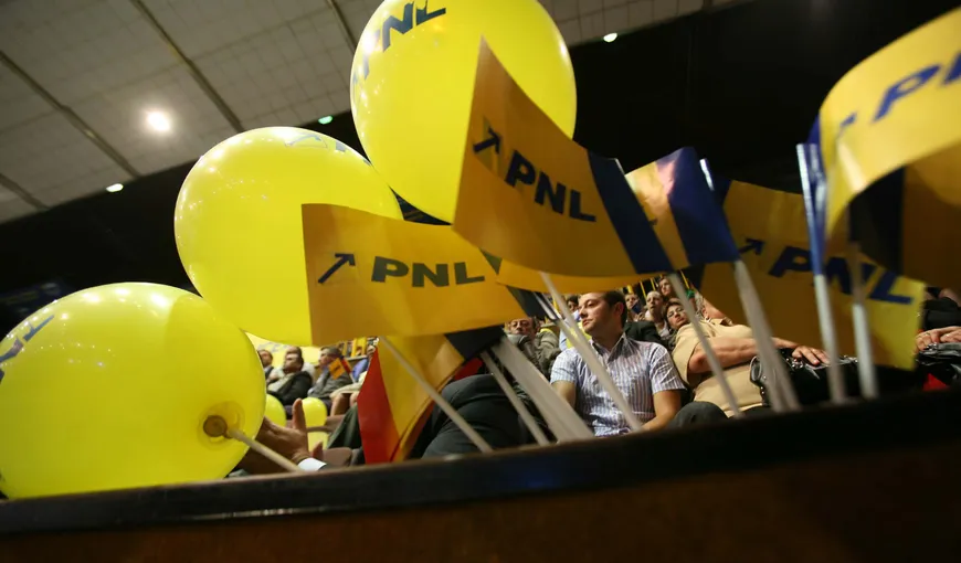 PNL cere Guvernului să organizeze alegeri în localităţile care nu mai au primari şi preşedinţi de CJ