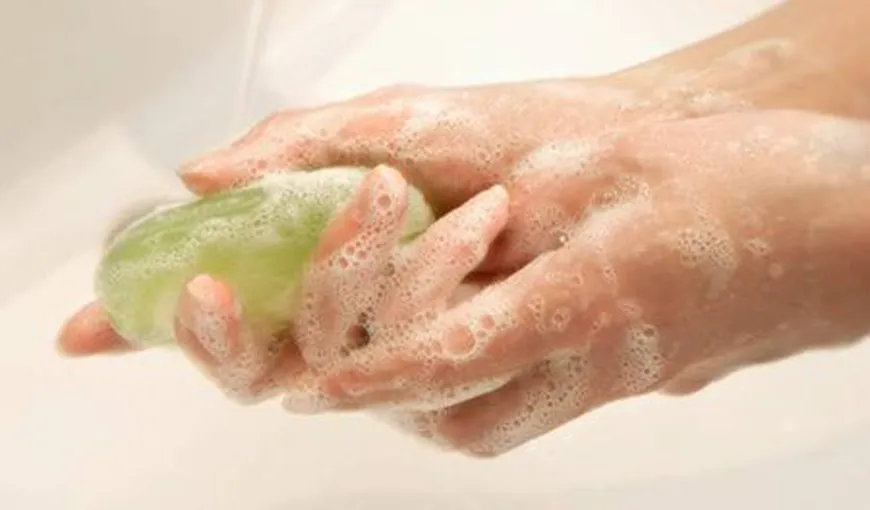 Adevărul despre săpunul solid. Are sau nu germeni?