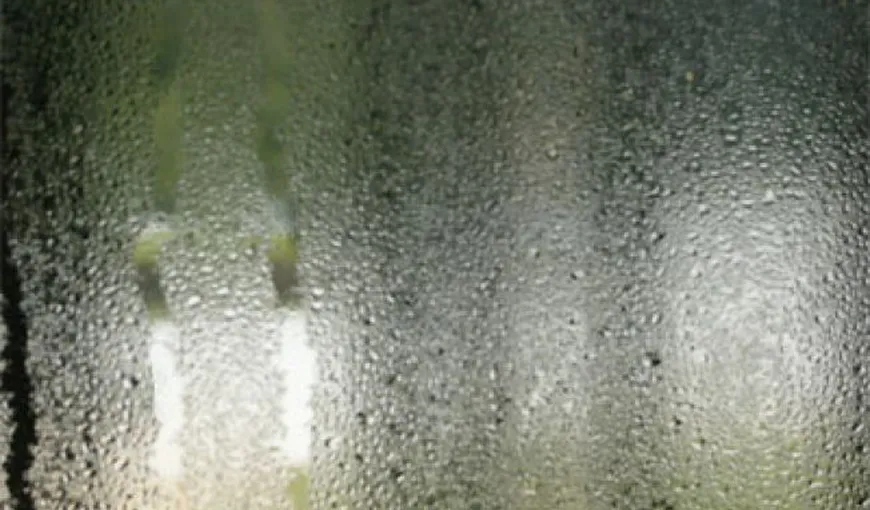 Cum să controlezi nivelul umidităţii în locuinţa ta