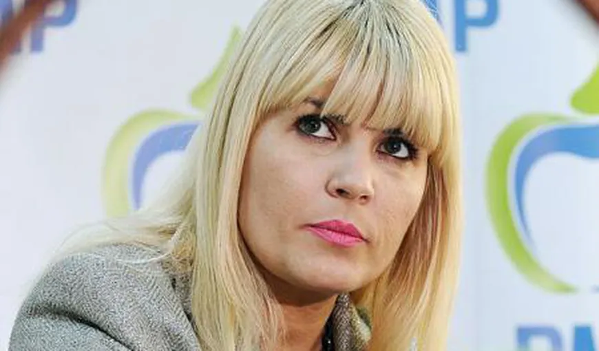 Elena Udrea: NU DEMISIONEZ din Parlament