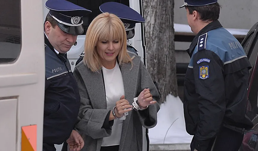 Elena Udrea îşi face strategia de eliberare. Cum speră fostul ministru al Turismului să scape de arest