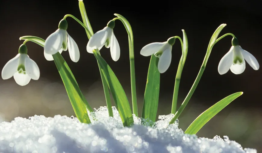 PROGNOZA METEO PE TREI ZILE: Cum vor fi primele zile de primăvară