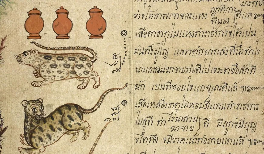 Horoscopul thailandez: Care sunt cele 12 animale alese de Buddha