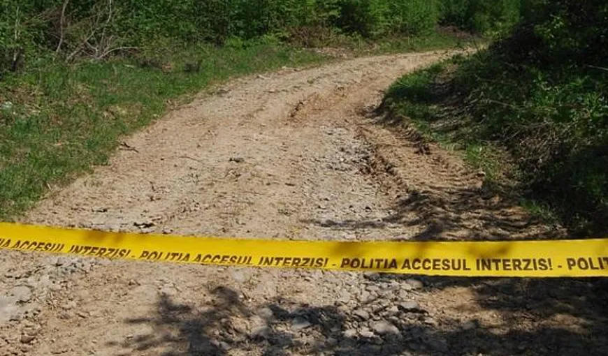 DESCOPERIRE ŞOCANTĂ în pădurea Hoia, din Cluj