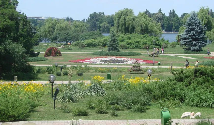 Soarta Parcului Herăstrău se decide marţi la Curtea de Apel Bucureşti. Şapte hectare ar putea să dispară