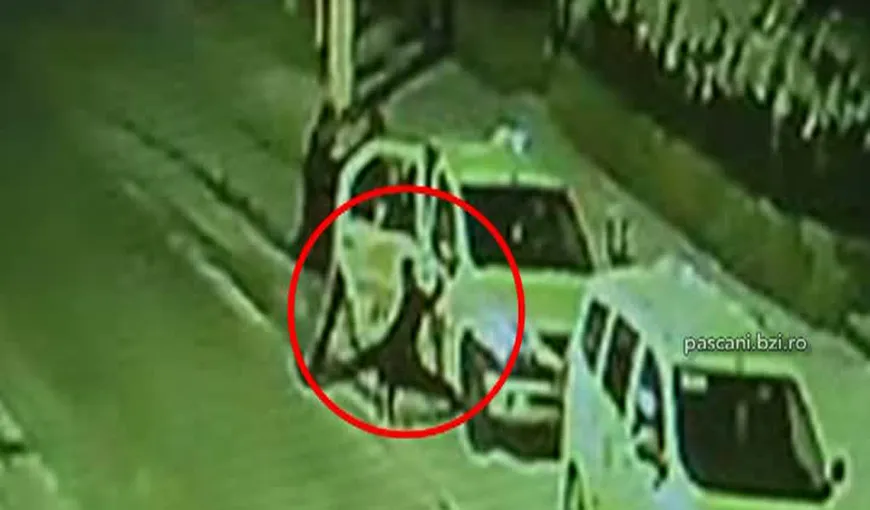 SCENE DE COŞMAR. Atacaţi în taxi de doi indivizi cu câini de luptă VIDEO