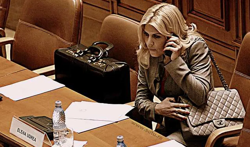 Elena Udrea, către deputaţi: Nu vă cer CLEMENŢĂ, dar nu fiţi părtaşi la un abuz care este ARESTAREA mea