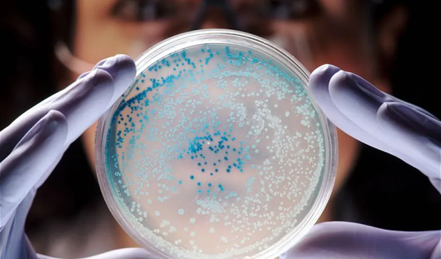 ALERTĂ în SUA: O bacterie LETALĂ a fost eliberată dintr-un laborator de înaltă securitate