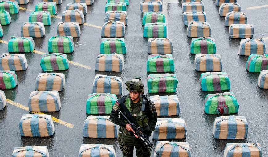 Peste patru tone de canabis, atribuite FARC, confiscate în Columbia