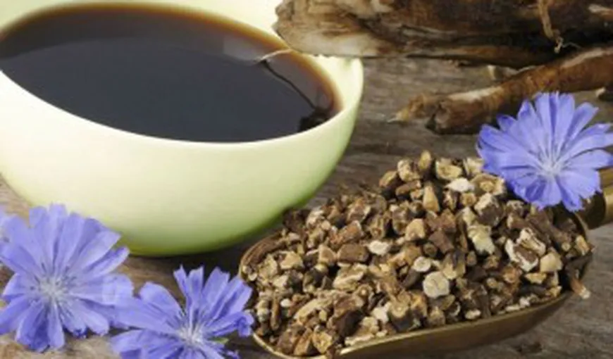 Cicoarea, alternativă sănătoasă pentru cafea