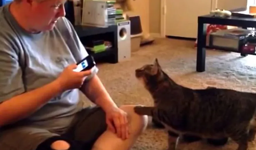 A încercat să vorbească cu PISICA printr-o aplicaţie specială de telefon, însă reacţia felinei a UIMIT VIDEO