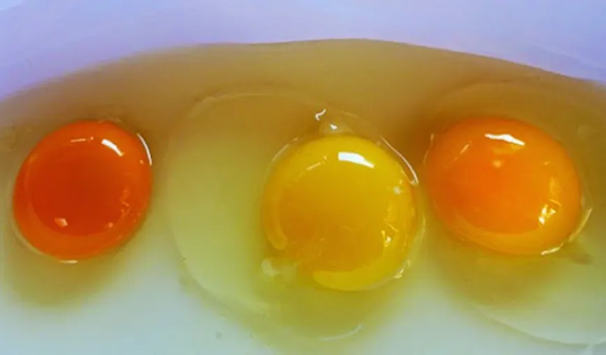 Cum arată un ou sănătos? Ce semnifică, de fapt, culoarea gălbenuşului