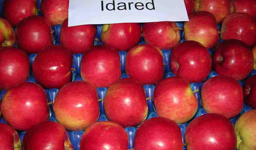 Tu ştii cum să elimini ceara de pe mere şi alte fructe? Află metoda prin care le cureţi rapid