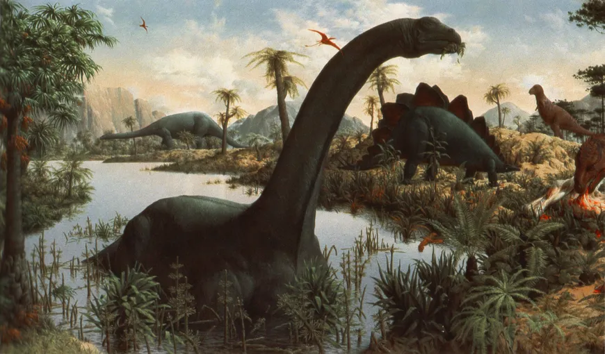 EROARE reparată în paleontologie: Brontozaurii chiar au existat