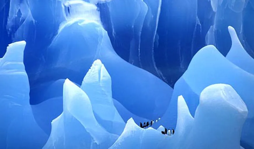 Descoperire uimitoare sub gheaţa din Antarctica