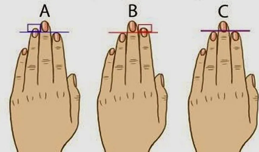 Ce spune lungimea degetelor despre personalitatea ta