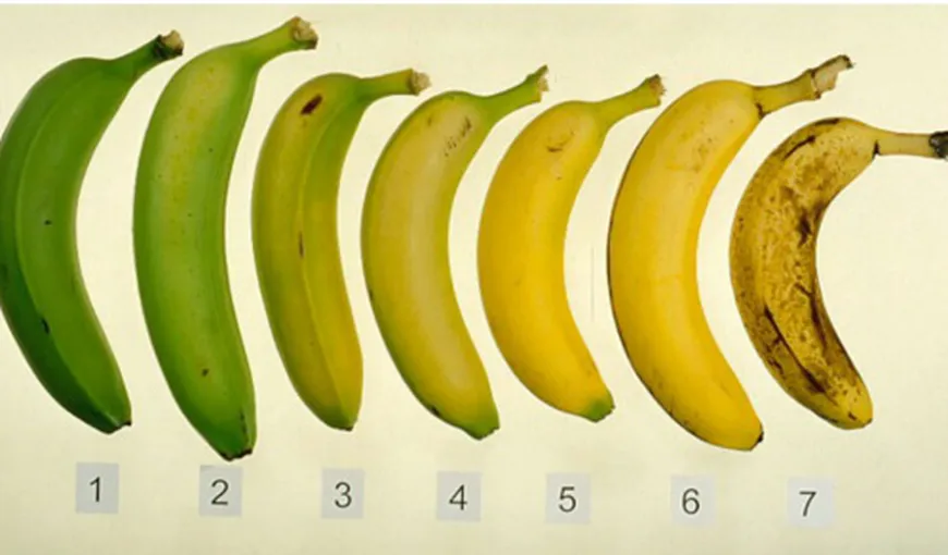 Diferenţa URIAŞĂ între bananele pe care le găseşti pe rafturile supermarketurilor