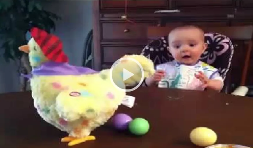 Cum face găina ouă? Jucăria care a uimit un BEBELUŞ NĂSTRUŞNIC VIDEO