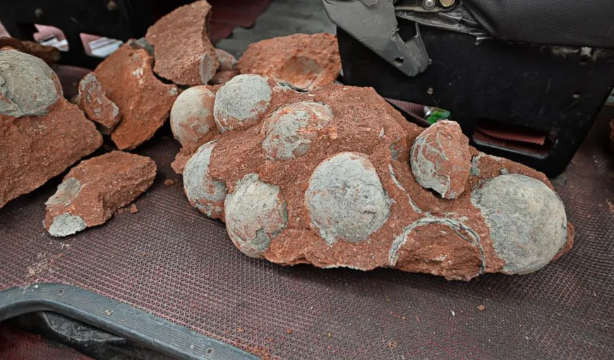 Incredibil: Zeci de ouă de dinozaur, descoperite în centrul unui oraş din China VIDEO
