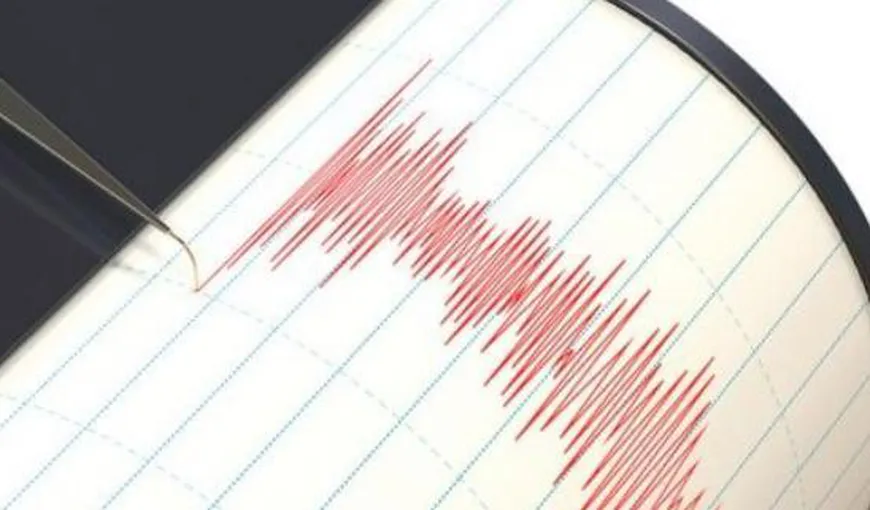 Cutremur cu magnitudinea de 7,8 în Japonia: „A scuturat cu violenţă”