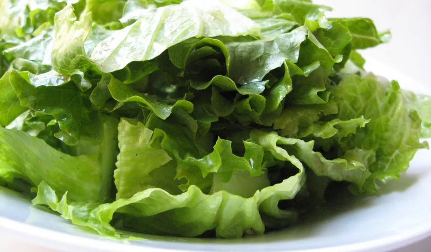 De ce este bine să mănânci în fiecare zi salată verde