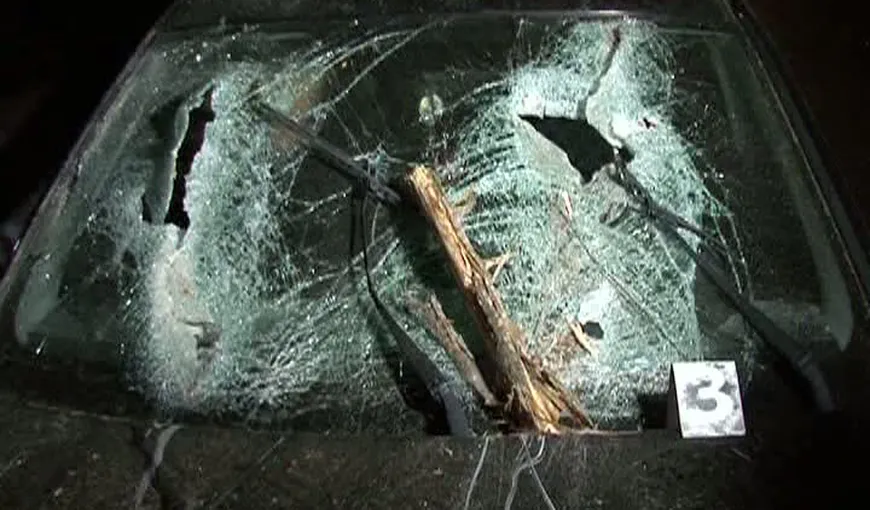 Accident FATAL în Suceava. O femeie A MURIT după ce a lovit o căruţă VIDEO