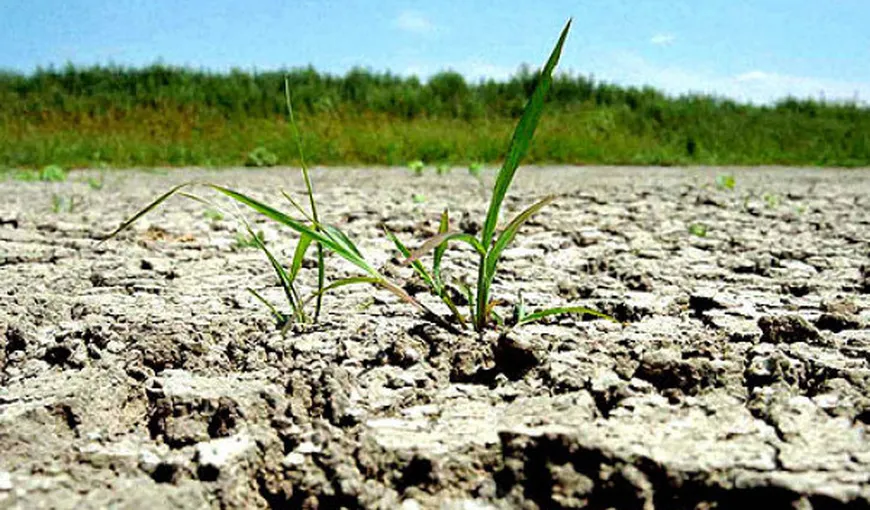 Situaţie alarmantă din cauza secetei. În Moldova, oamenii primesc apă cu porţia din cauza secetei