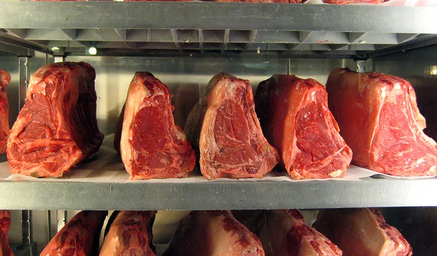 Imaginile care transformă mâncătorii de carne în VEGETARIENI. Ai curaj să le vezi? VIDEO
