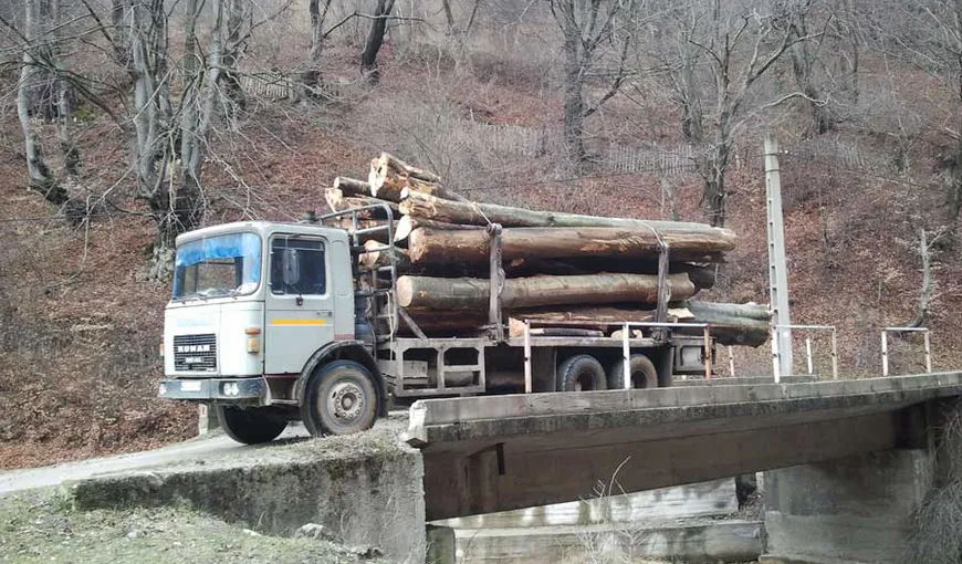 Un bărbat din Maramureş, AMENDAT pentru că a sesizat la 112 un transport de lemne pe care îl credea ilegal