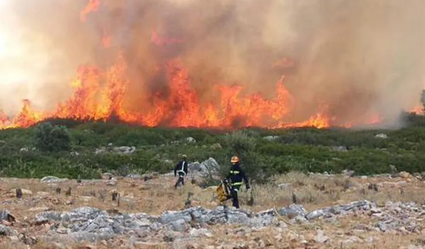 Spania: Incendiile au devastat peste 10.000 de hectare de vegetaţie în Andaluzia