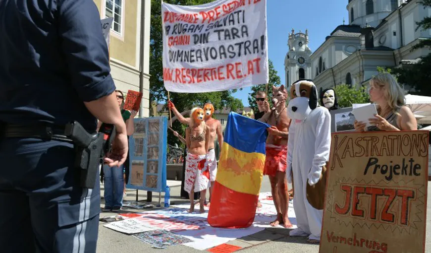 Klaus Iohannis, întâmpinat la Salzburg de protestatari: Vă rugăm salvaţi câinii din România!