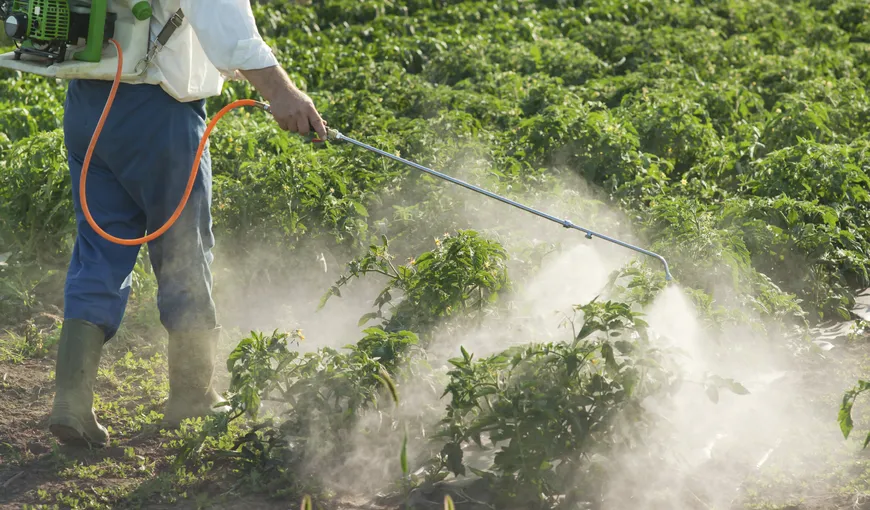 Cum să ne ferim, ca pesticidele din alimente să nu ne afecteze organismul. Nu este suficientă o simplă spălare