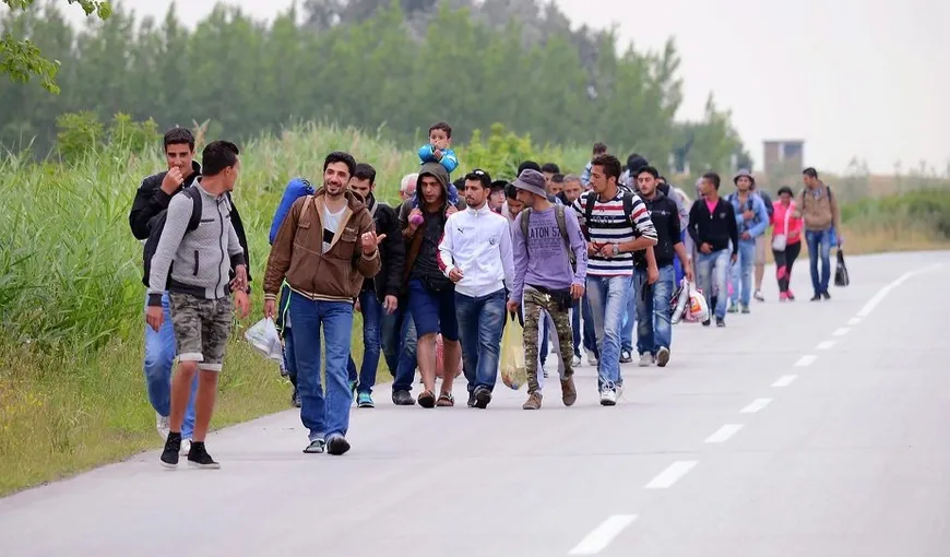 Peste 2.500 de refugiaţi au traversat sâmbătă frontiera sârbo-ungară