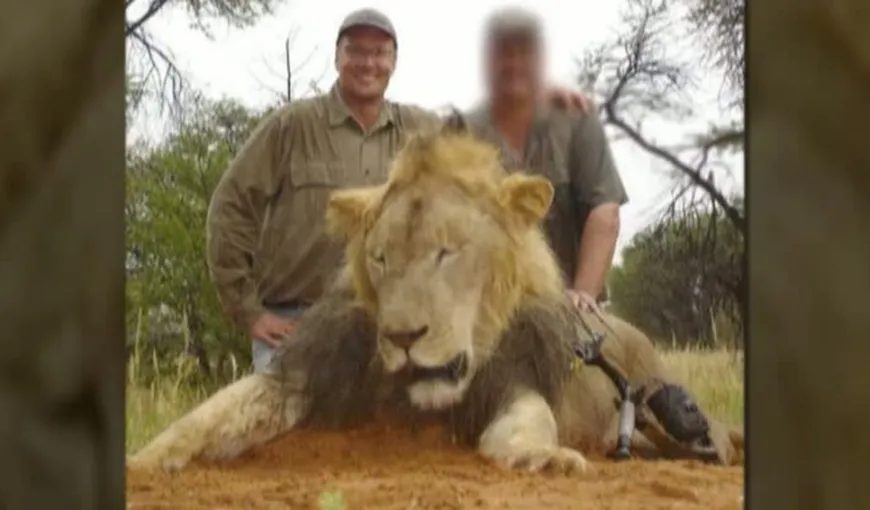 Leul Jericho, fratele leului Cecil, a fost ucis ilegal în Zimbabwe