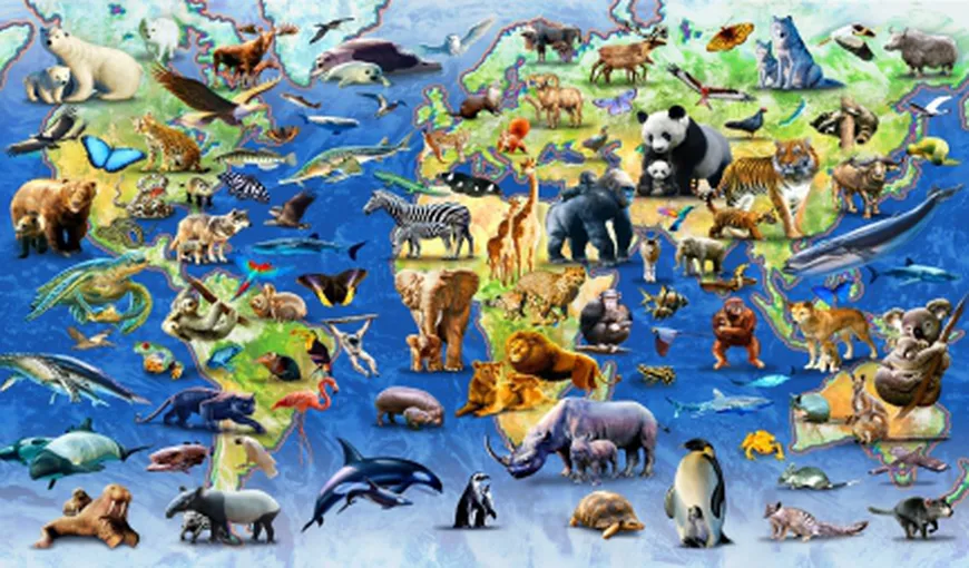 Nicio specie nu este protejată în caz de extincţie în masă