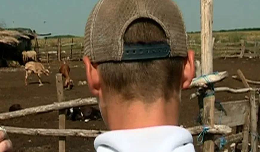 ŞOCANT: Băiat de 9 ani, sechestrat şi obligat de ciobani să muncească la stână VIDEO