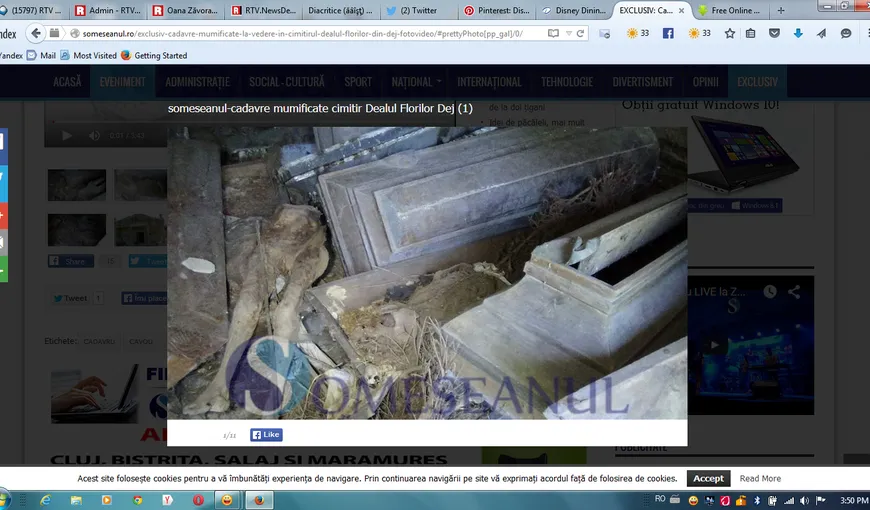 Cimitirul groazei, la Dej. Imagini horror, cadavre mumificate aruncate la întâmplare VIDEO