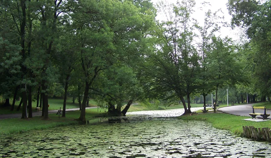 DESCOPERIRE ŞOCANTĂ în Parcul Romanescu, din Craiova