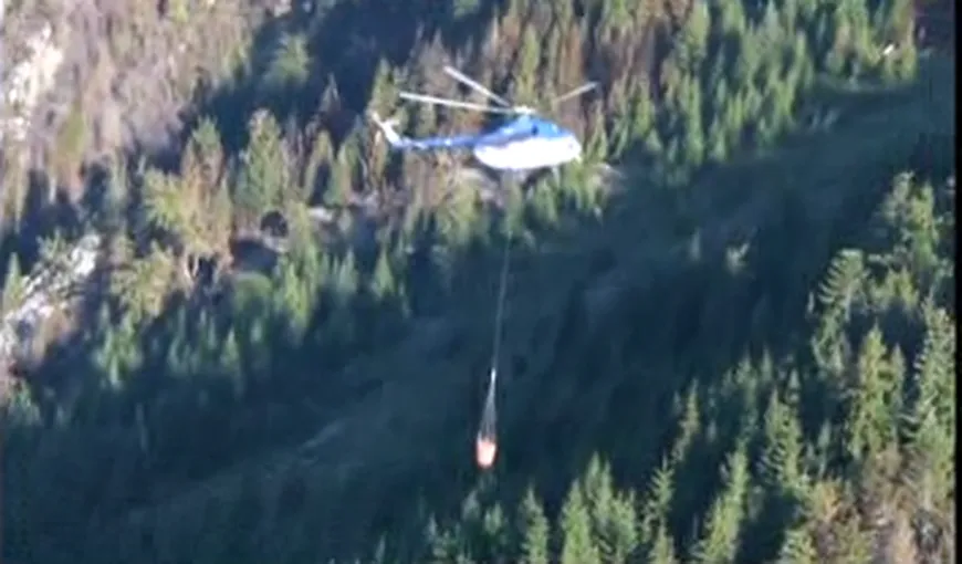 INCENDIU VIOLENT la o pădure din Retezat. 40 de pompieri şi un elicopter intervin VIDEO